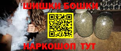 сатива Бердск